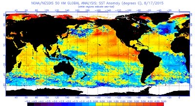 El Nino sempre più forte nel Pacifico ora anche gli alisei si sono attenuati notevolmente