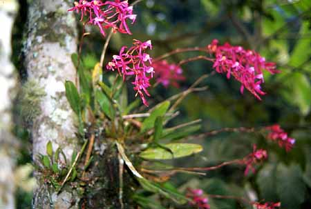 Alcune specie potrebbero non adattarsi e quindi scomparire - ugolinidm.it