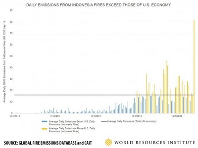 Emissioni in Indonesia alle stelle per via degli incendi che stanno bruciando il paese