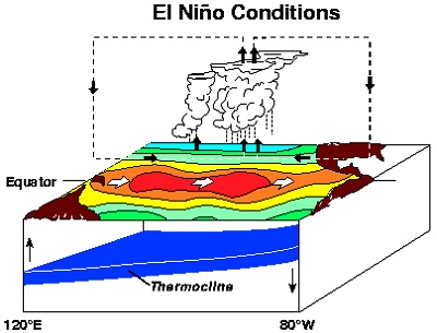 El Nino sono ormai 6 mesi che il fenomeno persiste nel Pacifico
