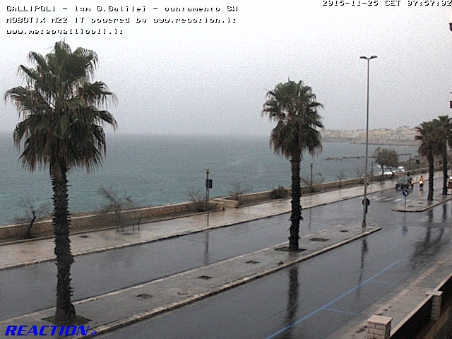 Gallipoli (Le), stamani.