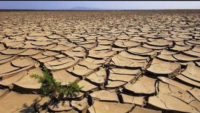 Si trova in Cile il luogo più secco del mondo: nel deserto dell'Atacama mediamente ogni anno cadono solo 0.08 mm di pioggia