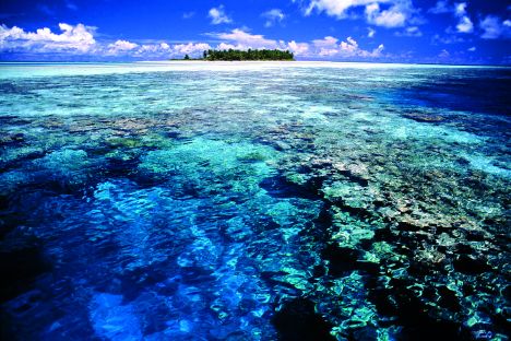 Ancora non sappiamo come l'ecosistema marino potrebbe reagire ad un aumento delle temperature in profondità - nautica.it