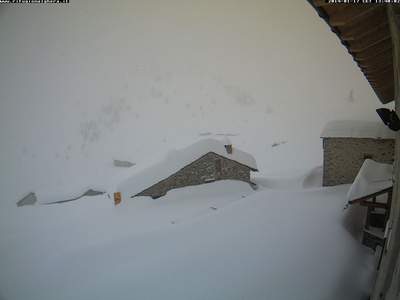 Neve Alpi: attese nevicate anche abbondanti nelle prossime ore
