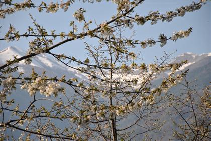 Meteo: sull'Italia finale di inverno tra anticiclone e perturbazioni Atlantiche - diecisettembre2011.wordpress.com