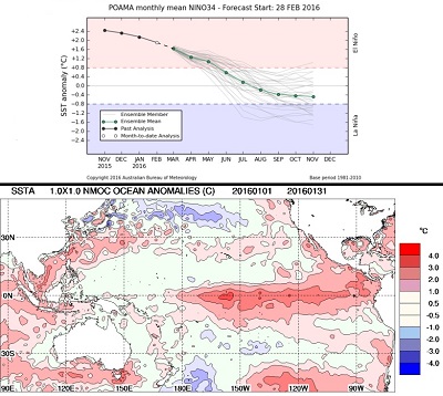 El Niño ci sono possibilità che prima della fine dell'anno si sviluppi La Niña
