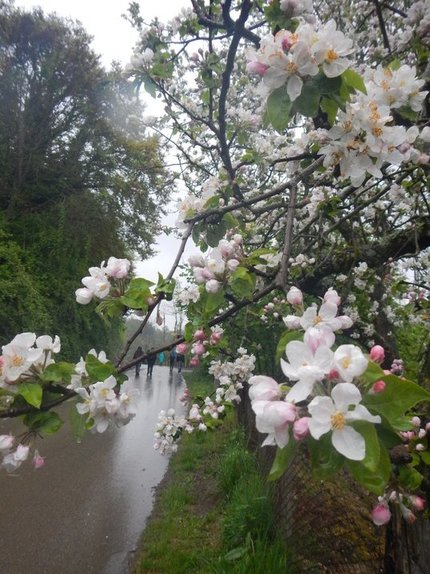 Meteo Aprile: la primavera arranca tra tempo instabile e colpi di coda invernali - climatemonitor.it