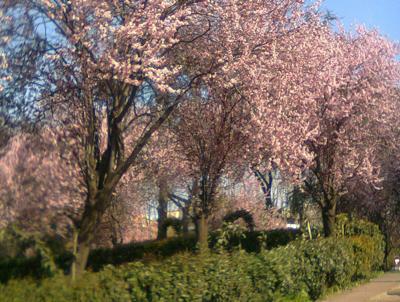 Meteo Primavera: mese di Aprile che potrebbe iniziare con anticiclone e clima mite - adnkronos.com