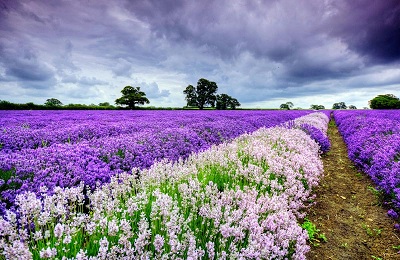 Meteo Italia: tempo stabile anche se a tratti nuvoloso specie al Centro-nord - www.levescovane.com