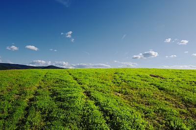 Meteo: sole sull' Italia salvo residui addensamenti nuvolosi sulle zone interne del centro - boorp.com