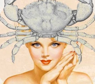 Novità del giorno Novità del giorno