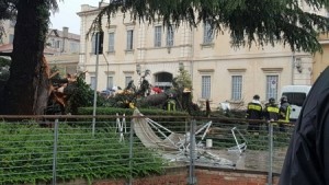 Un grosso albero è caduto sulla folla nel Padovano: 4 feriti 