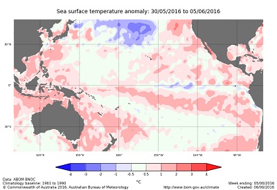 La Niña sempre più probabile continua il raffreddamento del Pacifico equatoriale