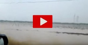 Maltempo in Puglia: agricoltura in ginocchio a Foggia