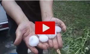 Grandinata record in Cina: gravi danni in ampie zone del Paese