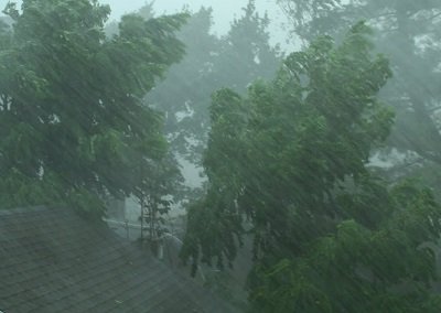 Il luogo più piovoso della Terra ecco dove si registra il record di precipitazioni