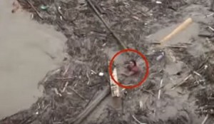 Alluvione Cina: donna salvata all’ultimo istante dal fiume di fango 