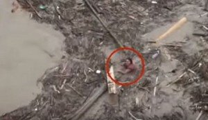 Alluvione Cina: donna salvata all’ultimo istante dal fiume di fango