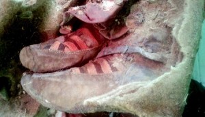 Incredibile scoperta in Siberia: trovano una mummia che sembra avere le scarpe da ginnastica