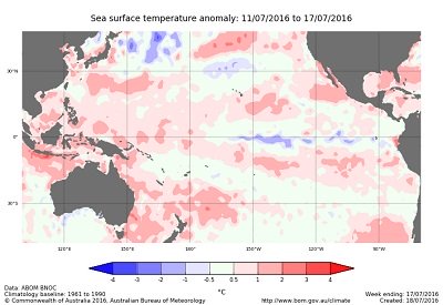 Anomalie della temperatura superficiale del mare nell'ultima settimana nell'oceano Pacifico