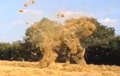 Dust devil non solo sabbia e polvere ma possono formarsi anche piccoli vortici di fieno