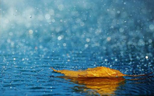 Meteo prossima settimana: piogge e temporali con temperature in calo sull'Italia per l'arrivo di una goccia fredda - palermo.blogsicilia.it Meteo prossima settimana: piogge e temporali con temperature in calo sull'Italia per l'arrivo di una goccia fredda - palermo.blogsicilia.it
