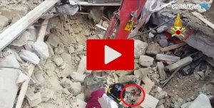 Terremoto Centro Italia: ecco il salvataggio di un gatto restato 16 giorni sotto le macerie