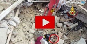 Terremoto Centro Italia: ecco il salvataggio di un gatto restato 16 giorni sotto le macerie