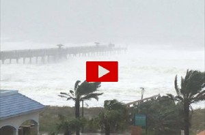 Uragano Matthew: un grosso albero sradicato dalla forza del vento