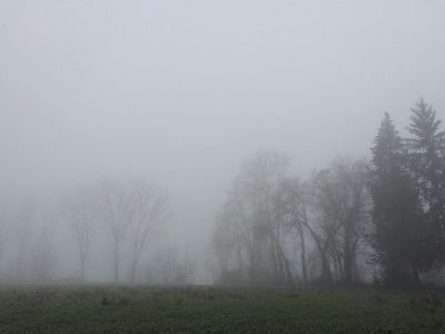 Nebbie e nubi basse nelle vallate e in Pianura i primi cieli grigi della stagione