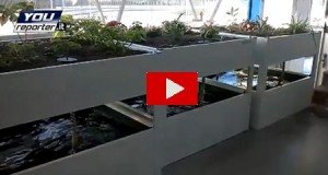 Il terremoto in diretta: la furia del sisma in un centro di acquacoltura