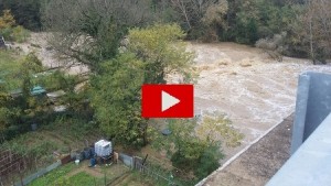 Maltempo Toscana: situazione critica in Valdarno aretino. Arno in piena, torrenti sotto osservazione