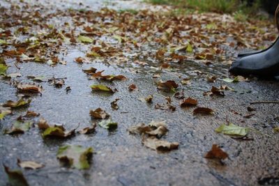Meteo ITALIA: peggioramento del tempo nei prossimi gironi con piogge e temporali localmente anche intensi - Meteo ITALIA: peggioramento del tempo nei prossimi gironi con piogge e temporali localmente anche intensi - Meteo valle d'itria Meteo ITALIA: peggioramento del tempo nei prossimi gironi con piogge e temporali localmente anche intensi - Meteo ITALIA: peggioramento del tempo nei prossimi gironi con piogge e temporali localmente anche intensi - Meteo valle d'itria