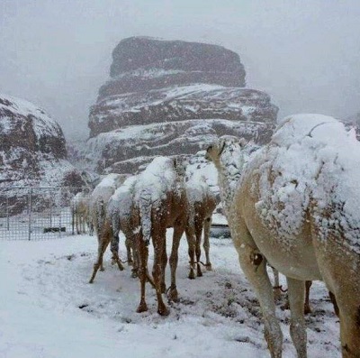 Neve in Arabia Saudita fiocchi sono scesi fino ad imbiancare il deserto