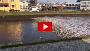 Tsunami Giappone: La grossa onda provocata dal terremoto 7.3 entra in città