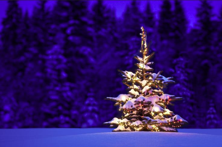 METEO NATALE: previsioni meteo fino a Natale? Ancora non si può ma vediamo una prima tendenza per l'Italia - ristorantelamascotte.com METEO NATALE: previsioni meteo fino a Natale? Ancora non si può ma vediamo una prima tendenza per l'Italia - ristorantelamascotte.com