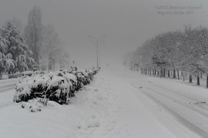 L'abbondante e copiosa nevicata in atto durante la mattinata del 14 Dicembre a Bagnolo Mella, a sud di Brescia. Foto di Maurizio Signani