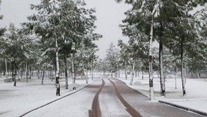 la prima neve dopo 23 anni ad Antalya, in Turchia. Fonte: Severe Weather World.