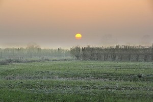 Gelo al mattino al nord Italia