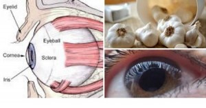 Come usare l’ aglio per migliorare la vista senza occhiali o chirurgia: funziona davvero!