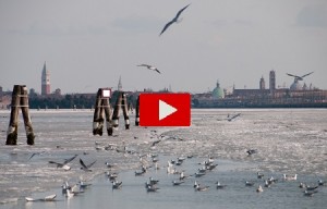 Ondata di gelo: la laguna di Venezia è completamente ghiacciata