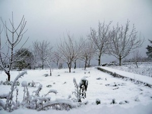 Neve sulle aree collinari dell'Isola di Ischia durante la giornata di ieri. Fonte: http://napoli.repubblica.it/cronaca/2017/01/10/foto/maltempo_fiocchi_di_neve_a_ischia-155759225/1/#2