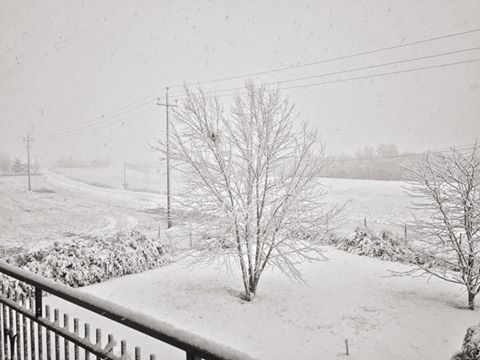 Meteo Roma Ancora neve in collina sul Lazio nella giornata