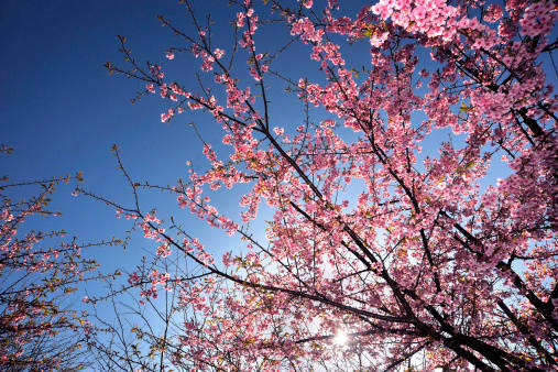 METEO ITALIA, parentesi di primavera grazie all'anticiclone. Temperature in aumento con punte prossime ai +20 gradi - tumblr.com METEO ITALIA, parentesi di primavera grazie all'anticiclone. Temperature in aumento con punte prossime ai +20 gradi - tumblr.com