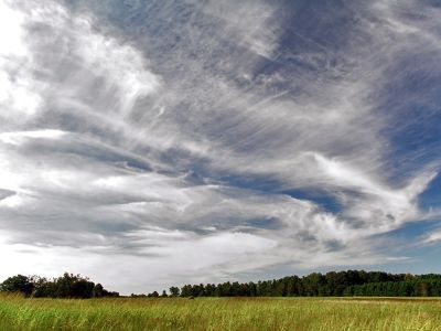 METEO: anticiclone nuovamente in rinforzo e qualche nube medio-alta in transito. Nei prossimi giorni permarrà ancora il bel tempo su quasi tutta la Penisola 12 marzo 2017 , fonte: Wikipiedia