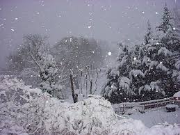 nevicata trento