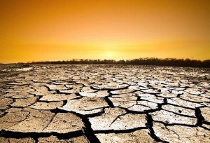 Pesante e anomala ondata di caldo in India con valori di temperatura oltre i 40°C.