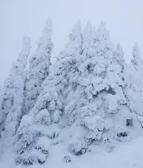 nevicata sestriere