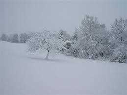 nevicata passo del tonale