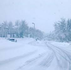 nevicata udine